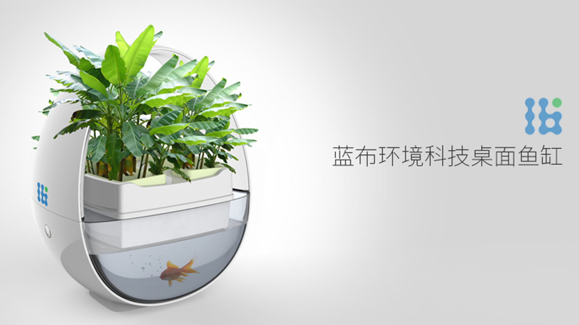 生态鱼缸设计-蓝布生态鱼缸设计