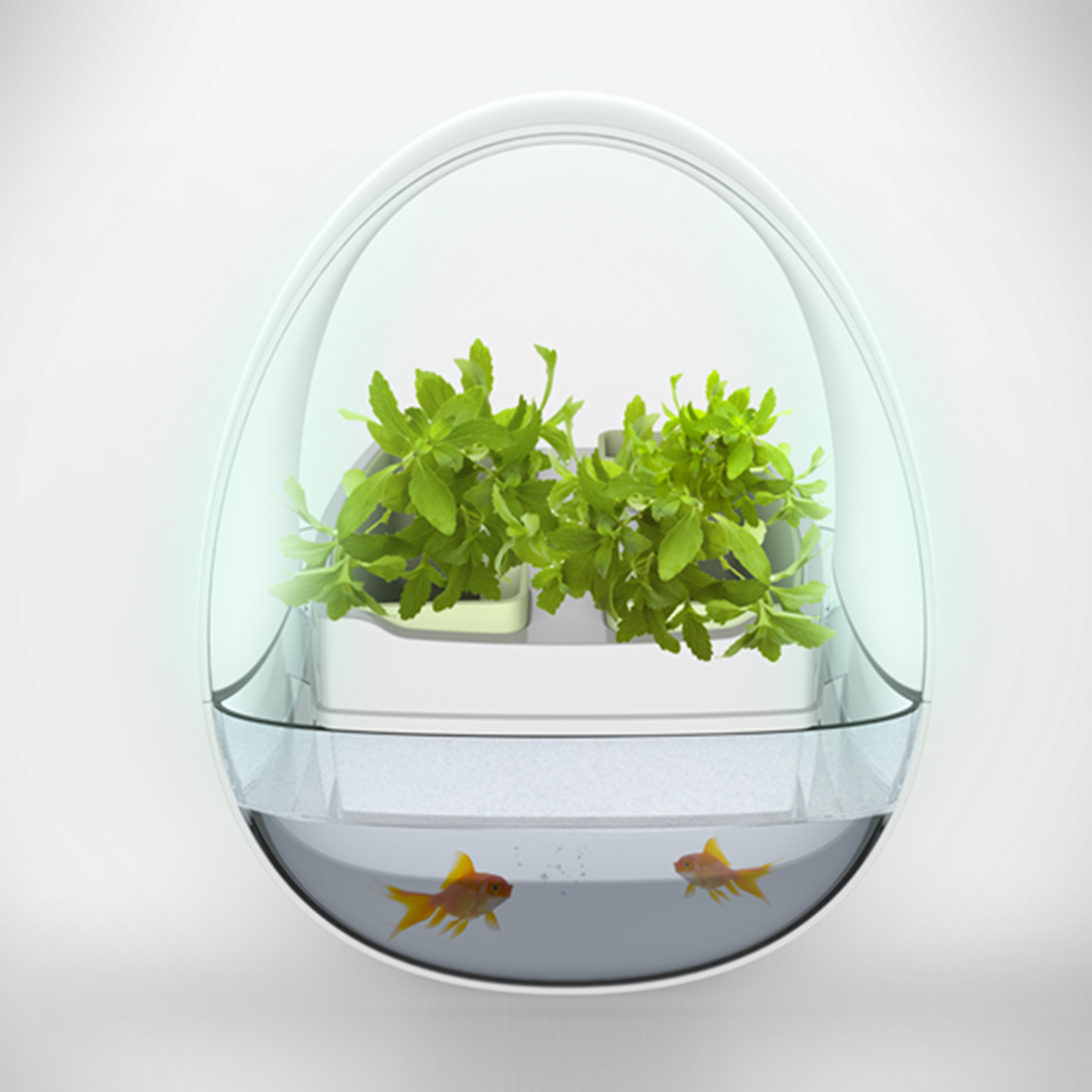 生态鱼缸设计-蓝布生态鱼缸设计